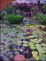 神戸花鳥園